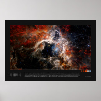 Poster 30 Doradus (Tarantula Nebula, NGC 2070)