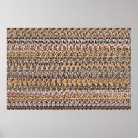 36" x 24" "Chiots jouant" 3D Magic Eye®