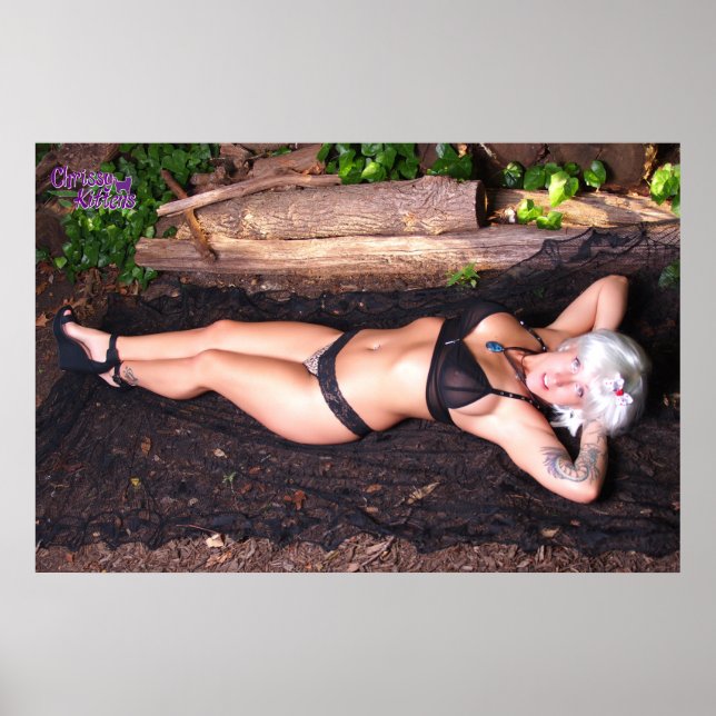 Poster 36" x 24" Chrissy Kittens Par Le Journal (Devant)