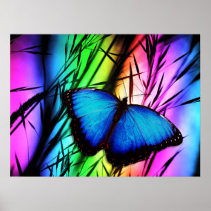 POSTER 370729 RAINBOW DIGITAL BUTTERFLY REALISM FICHE D'I