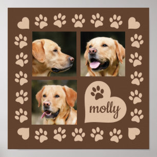 Poster 3 Collage Photo Chien Nom Cœur Marron