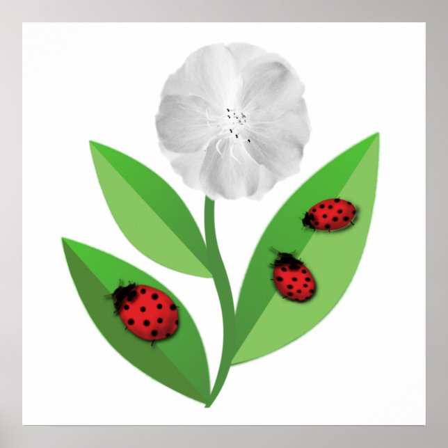 Poster 3 Ladybugs (Devant)