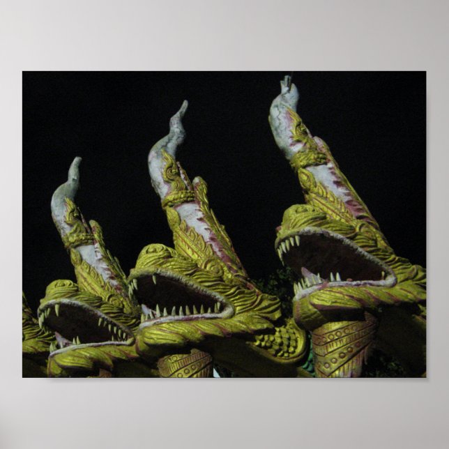 Poster 3 Nagas la nuit (Devant)