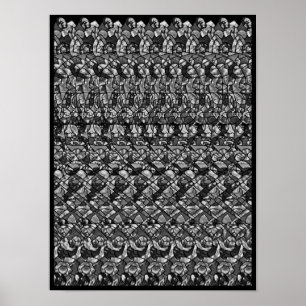 Poster 3D caché - Jolly roger, B&W