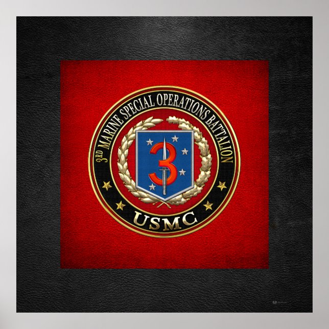 Poster 3e MSOB [3D] (Devant)