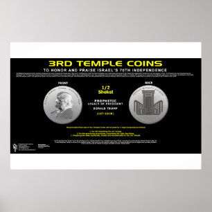 Poster 3ème Temple Coin 1