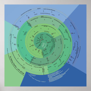 Poster 40x40 nous appartenons avec toute la vie