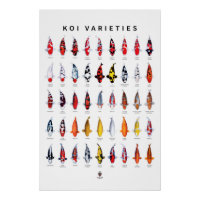 Poster 45 Types of Koi