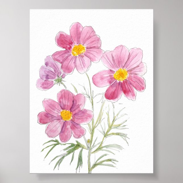 Poster 4 magenta cosmos encre de fleur et aquarelle (Devant)