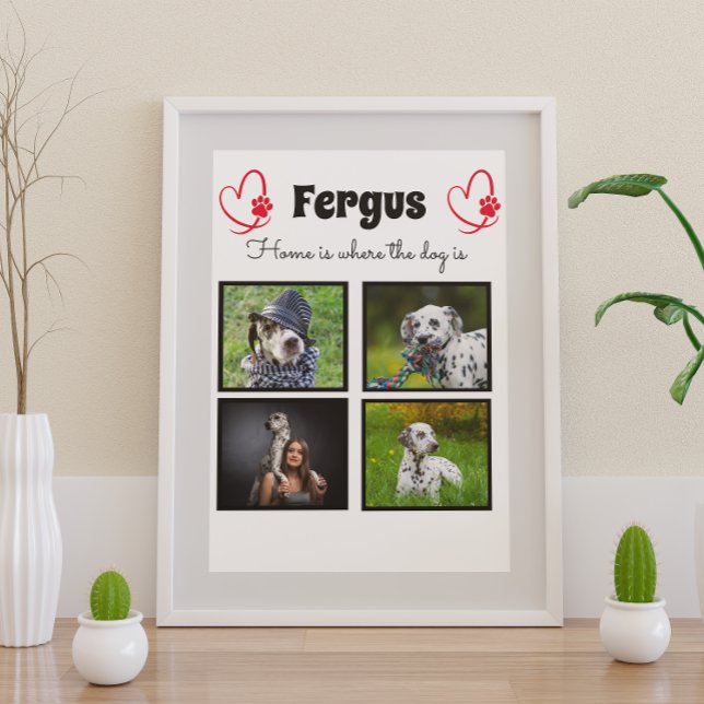 Poster 4 photo collage - mémoire de famille de l'animal c (Créateur téléchargé)