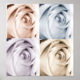 Poster 4 tirage rose