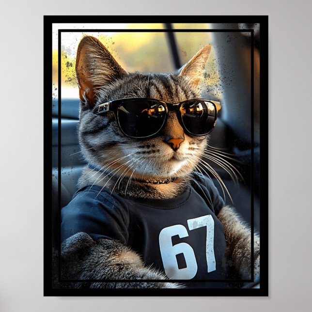 Poster 67 And Still Cool Funny Birthday Meme Cat  (Devant)