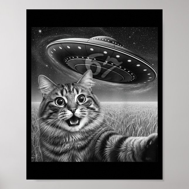 Poster 67 Cat Selfie With Alien Ufos Funny Cat Six Seven  (Devant)