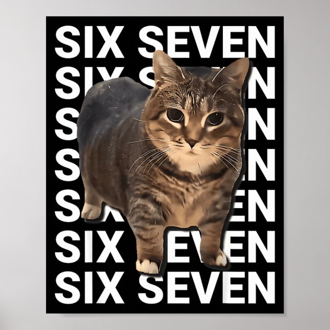 Poster 67 Chat Drôle Six Sept Mème Génération Z Alpha Hum (Devant)
