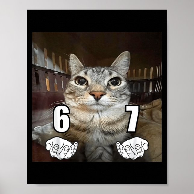 Poster 67 Meme Drôle Chat Six Sept Meme 6 7  (Devant)