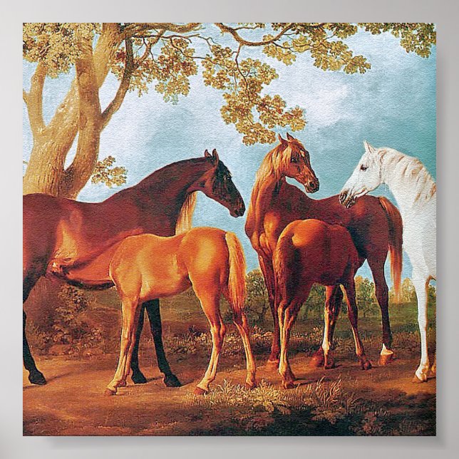 Poster 6a Mares et poulains (Devant)