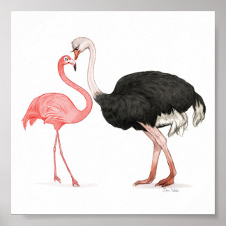 Poster 6x6 Inséparables