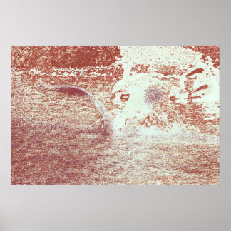Poster 71 ter