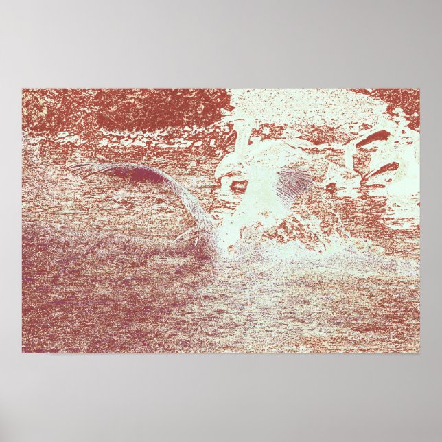Poster 71 ter (Devant)