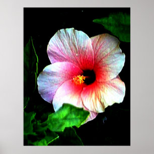 Poster 72" colossal x 52" et 52" x 72" art de Giclée