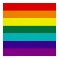7 bandes Rainbow Pride