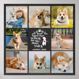 Poster 8 Collage Photo Souvenir Perte Chien