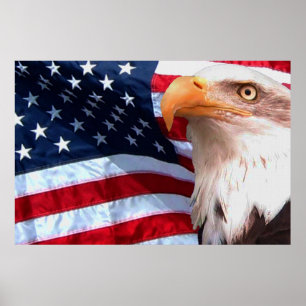Poster 8 de Bald Eagle 4 juillet
