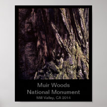 8x10 - Muir Woods National Monument Color (Dark)
