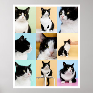 Poster 9 Photo Collage Moderne Chat Chien