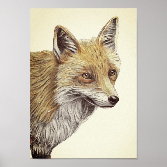 Poster A4 dessin au crayon rouge Renard Imprimer l'aspect (Devant)