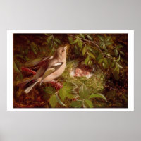 A Chaffinch at its Nest, 1877 (huile sur panneau)