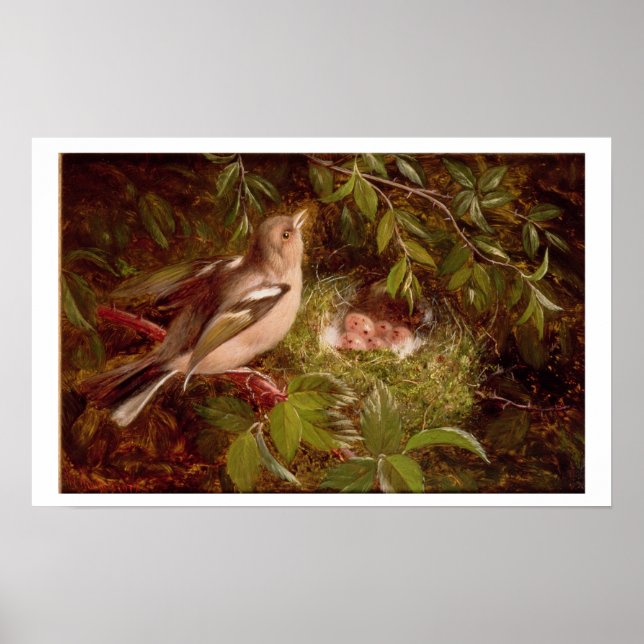Poster A Chaffinch at its Nest, 1877 (huile sur panneau) (Devant)