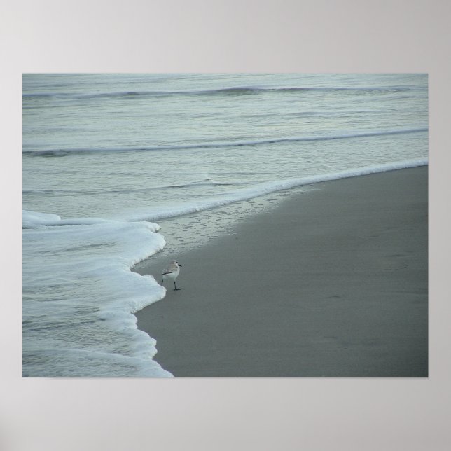 Poster À cheval sur le fractal (Devant)