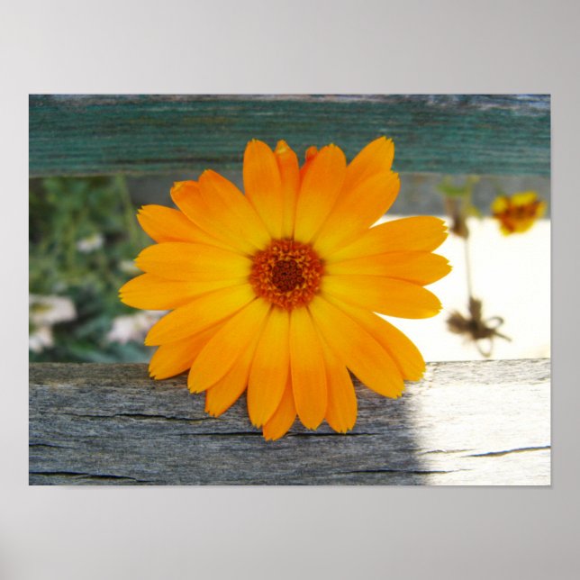 Poster à fleurs orange (Devant)
