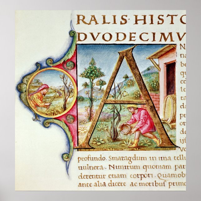 Poster 'A' initial historique représentant (Devant)