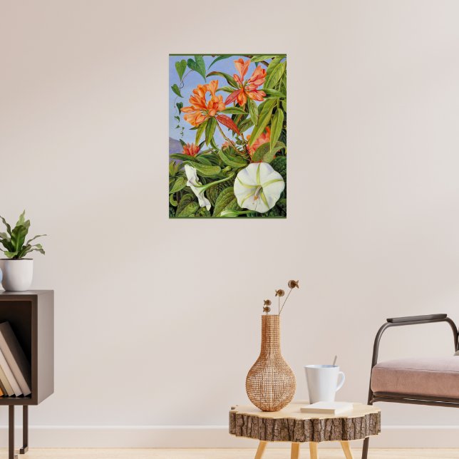 Poster A Javan Rhododendrum et Ipomoea (Salon 3)