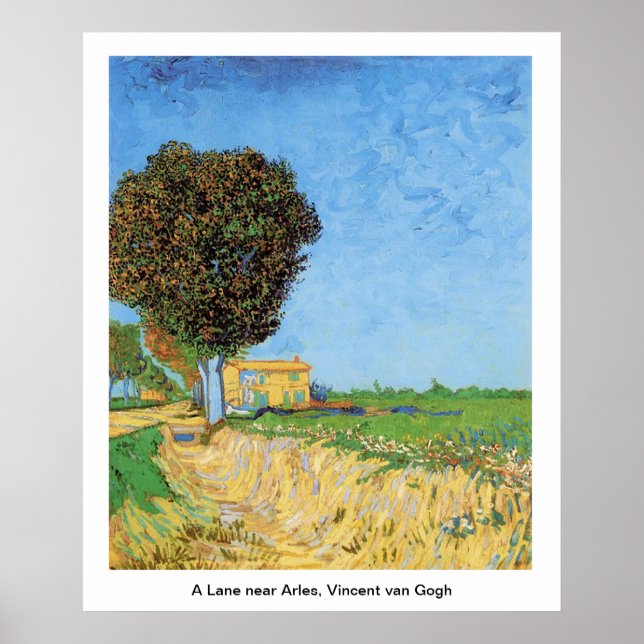 Poster A Lane près d'Arles, Vincent van Gogh. (Devant)
