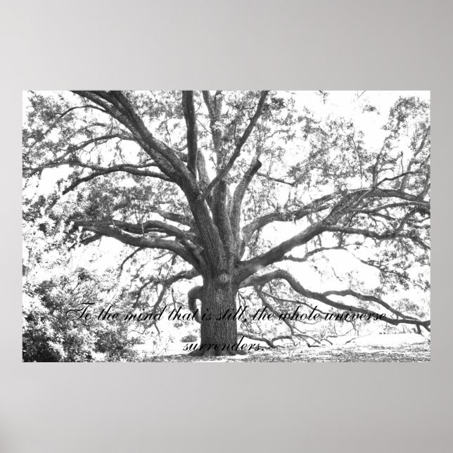 Poster À l'esprit qui est encore. (Devant)