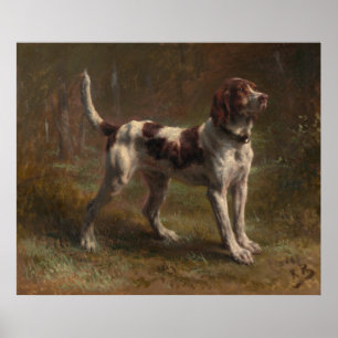 Poster A Limier Briquet Hound