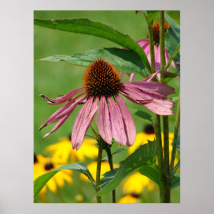 Poster À mesure que le jardin grandit