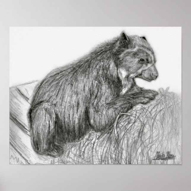 Poster A. Neuman Bubu Imprimer (Devant)