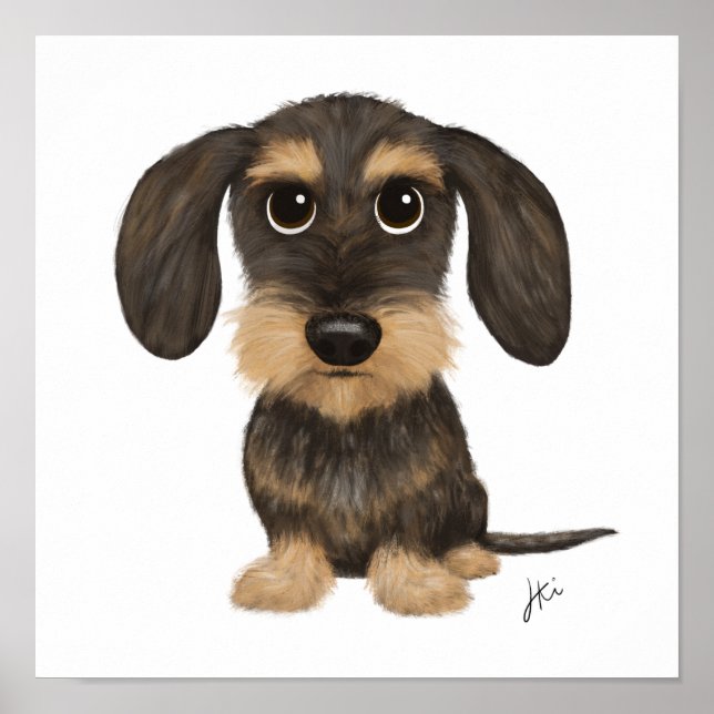 Poster À poils durs Dachshund | Teckel de chien de carica (Devant)