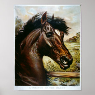 Poster A Prince of the Blood