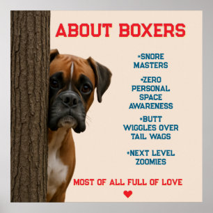 Poster À propos des boxers Amoureux et amusants Boxer Chi