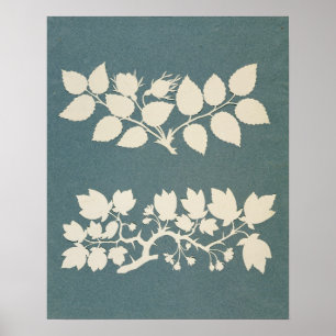 Poster A Rose Branch and Jasmin Branch