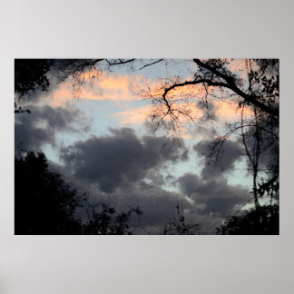 Poster A travers l'affiche Arbres