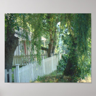 Poster À travers l'affiche du saule pleuvoir