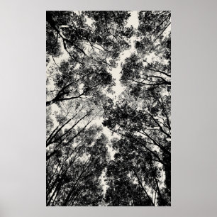 Poster À Travers Les Arbres, 2018   Images SVP