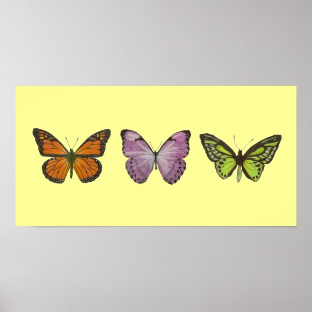 Poster à trois papillons horizontal (Devant)