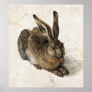 Poster A Young Hare - Albrecht Durer - c1502